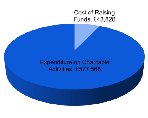 Chart showing our expenditure